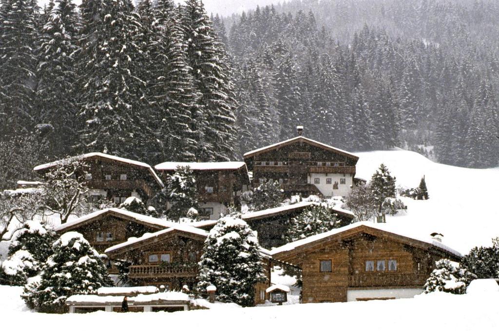 Ferienhaeuser Reither Almen Reith im Alpbachtal Quarto foto