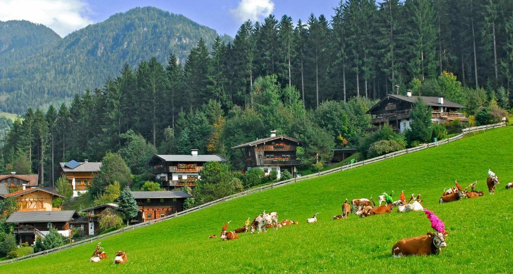 Ferienhaeuser Reither Almen Reith im Alpbachtal Quarto foto